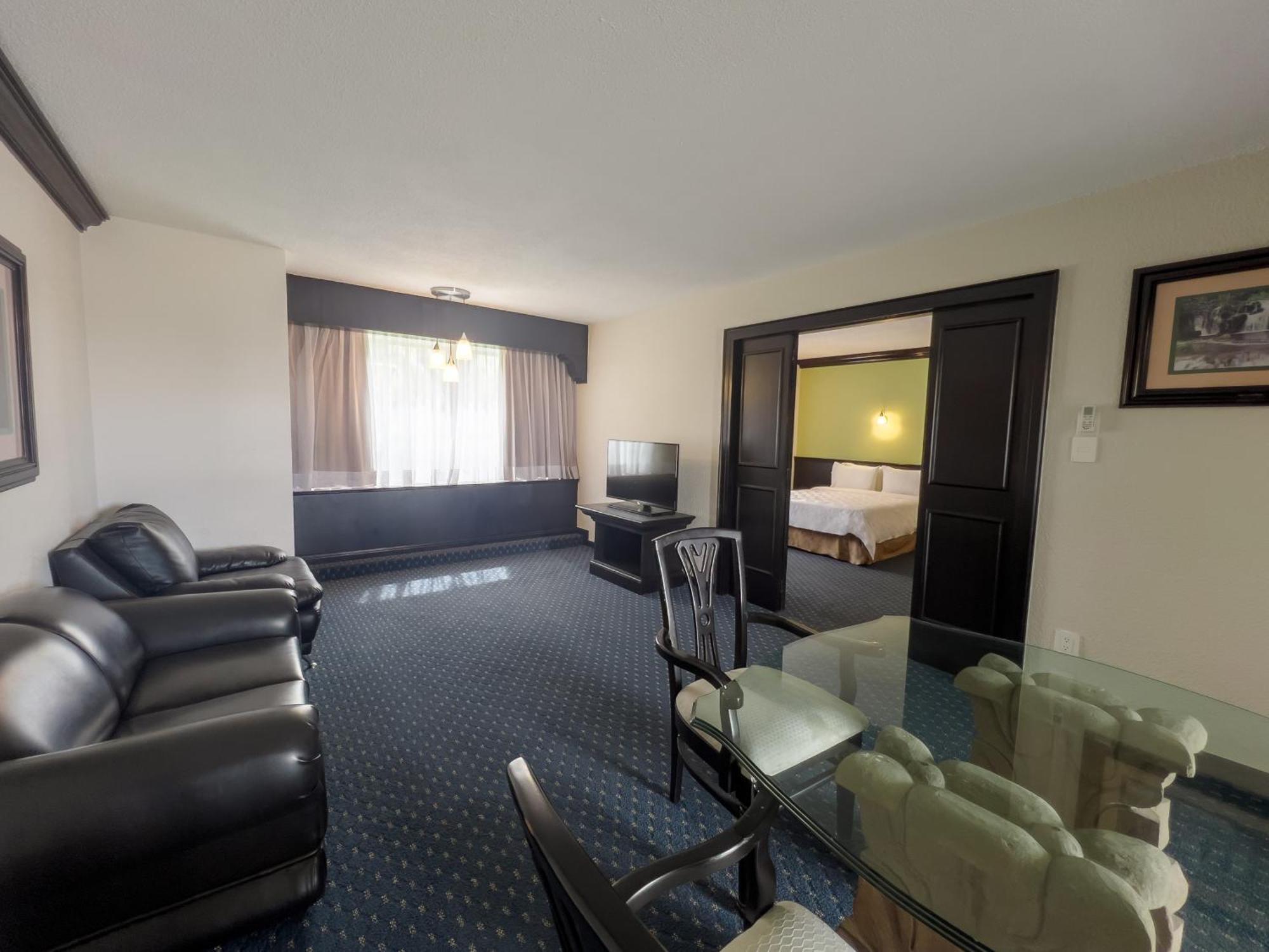 Holiday Inn San Luis Potosi-Quijote By Ihg Esterno foto