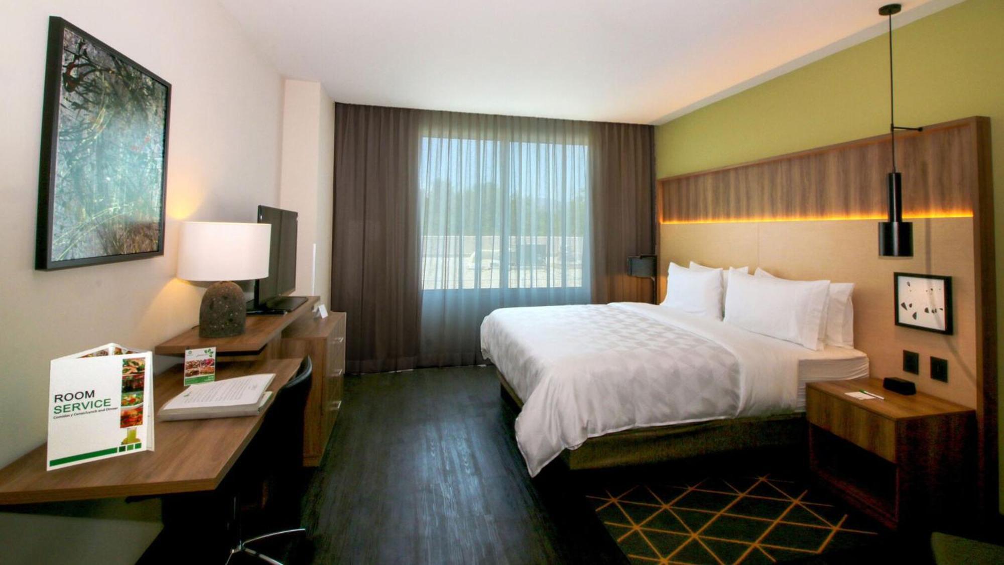 Holiday Inn San Luis Potosi-Quijote By Ihg Esterno foto